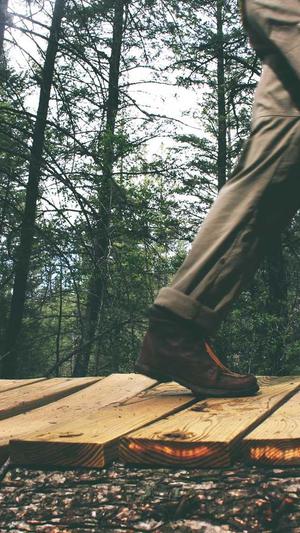 快播官网截图2